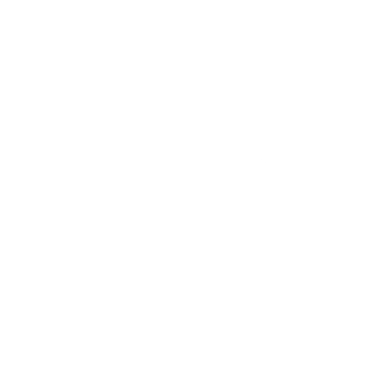 شعار فلاي مون للسفر والسياحة - وكالة سفر رائدة في السعودية